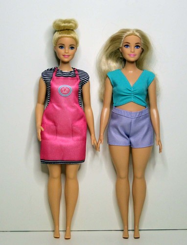 Due barbie curvy - barbie,